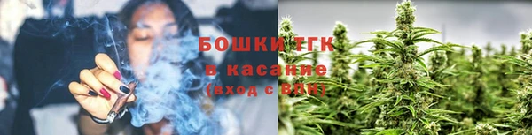 СК Коряжма
