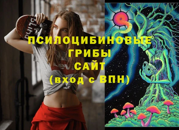 ECSTASY Корсаков