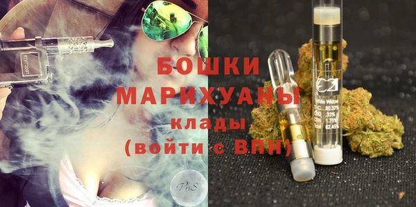 стафф Гвардейск