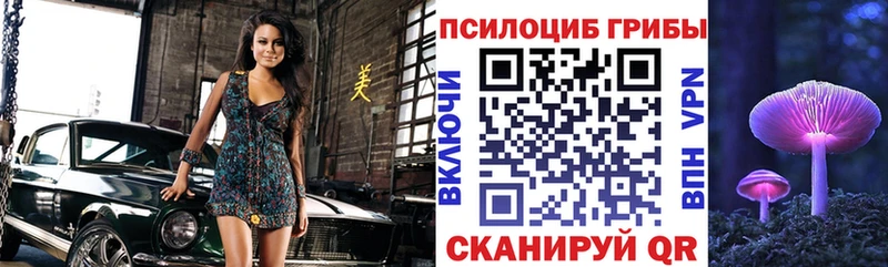 ссылка на мегу зеркало  Коряжма  Псилоцибиновые грибы мухоморы 